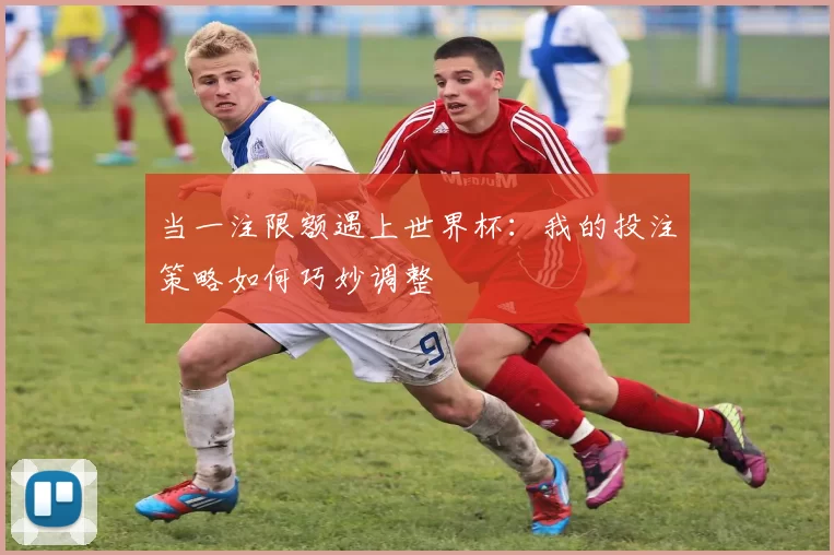 当一注限额遇上世界杯:我的投注策略如何巧妙调整