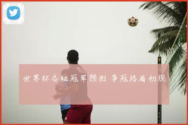 世界杯各组冠军预测 争冠格局初现