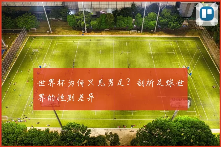 世界杯为何只见男足？剖析足球世界的性别差异