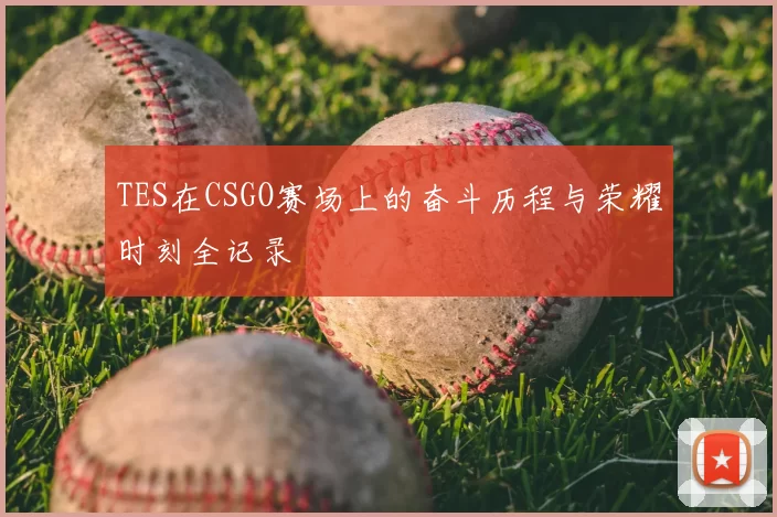 TES在CSGO赛场上的奋斗历程与荣耀时刻全记录