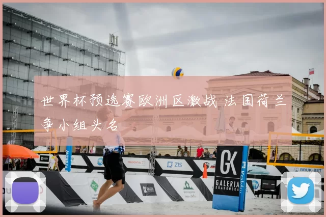 世界杯预选赛欧洲区激战 法国荷兰争小组头名