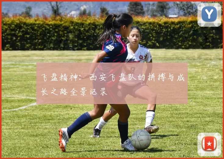 飞盘精神：西安飞盘队的拼搏与成长之路全景记录