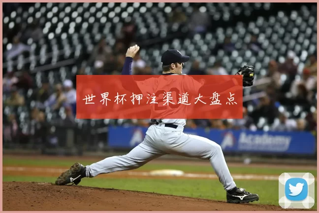 世界杯押注渠道大盘点