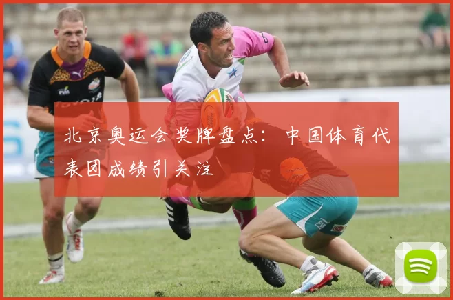 北京奥运会奖牌盘点:中国体育代表团成绩引关注
