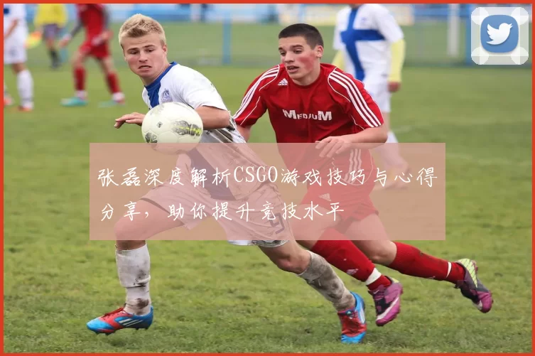 张磊深度解析CSGO游戏技巧与心得分享,助你提升竞技水平