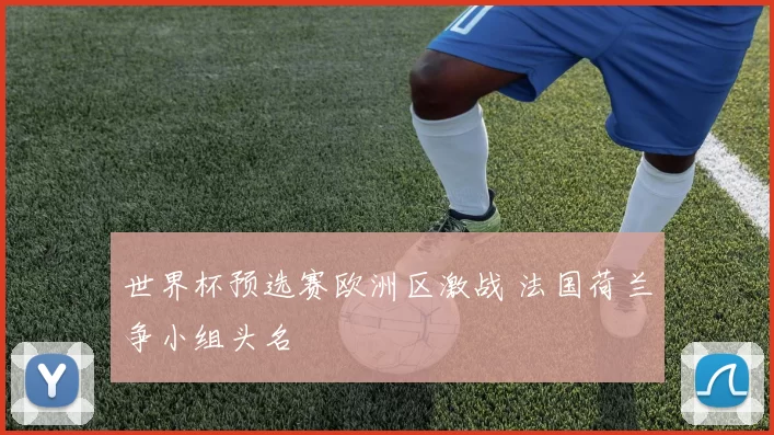 世界杯预选赛欧洲区激战 法国荷兰争小组头名