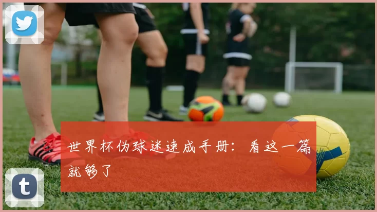 世界杯伪球迷速成手册：看这一篇就够了