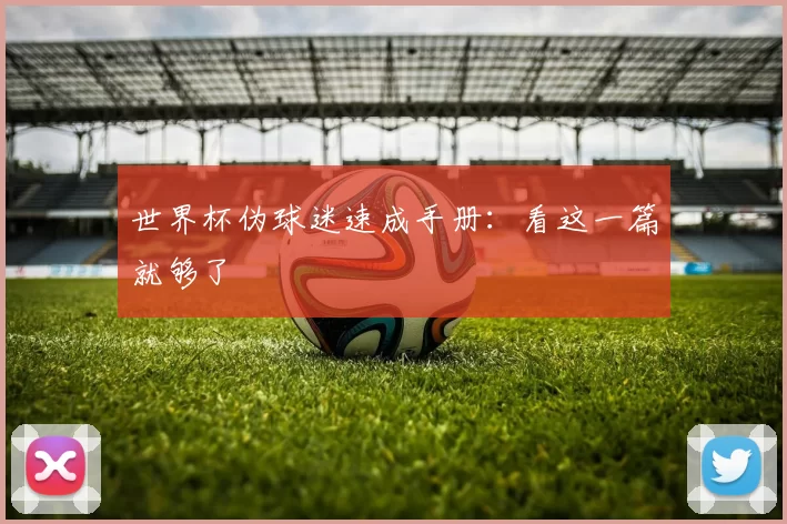 世界杯伪球迷速成手册：看这一篇就够了