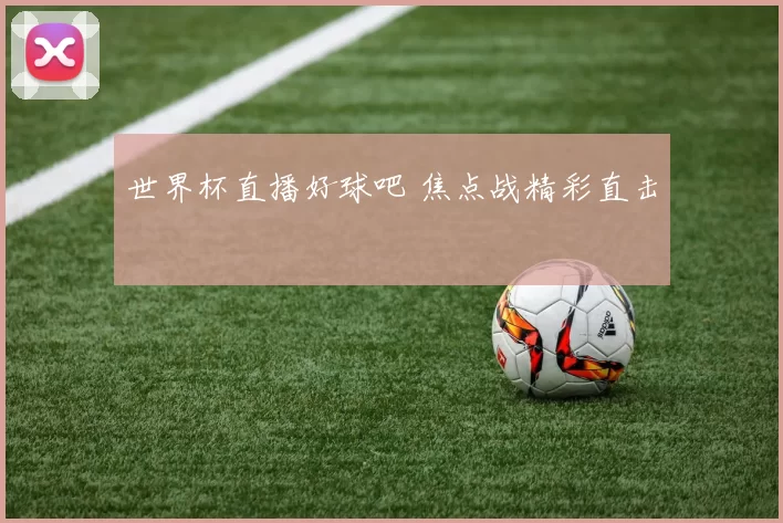 世界杯直播好球吧 焦点战精彩直击