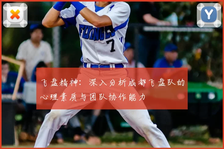 飞盘精神:深入分析成都飞盘队的心理素质与团队协作能力