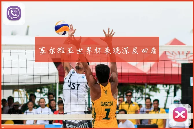 塞尔维亚世界杯表现深度回看